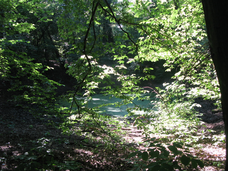 .resize_IMG_8183.JPG