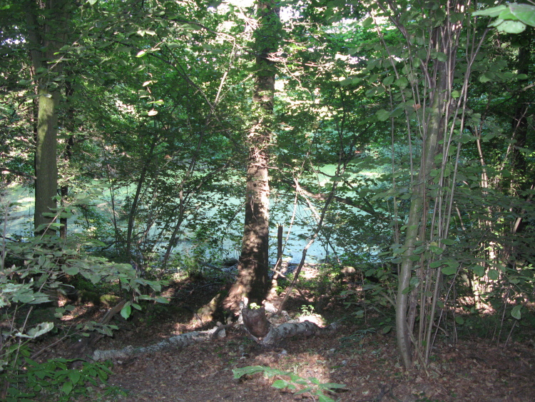 .resize_IMG_8188.JPG
