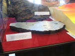 .resize_IMG_8179.JPG