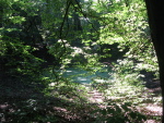 .resize_IMG_8183.JPG