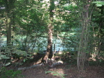 .resize_IMG_8188.JPG