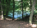 .resize_IMG_8193.JPG