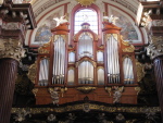 .resize_IMG_8217.JPG