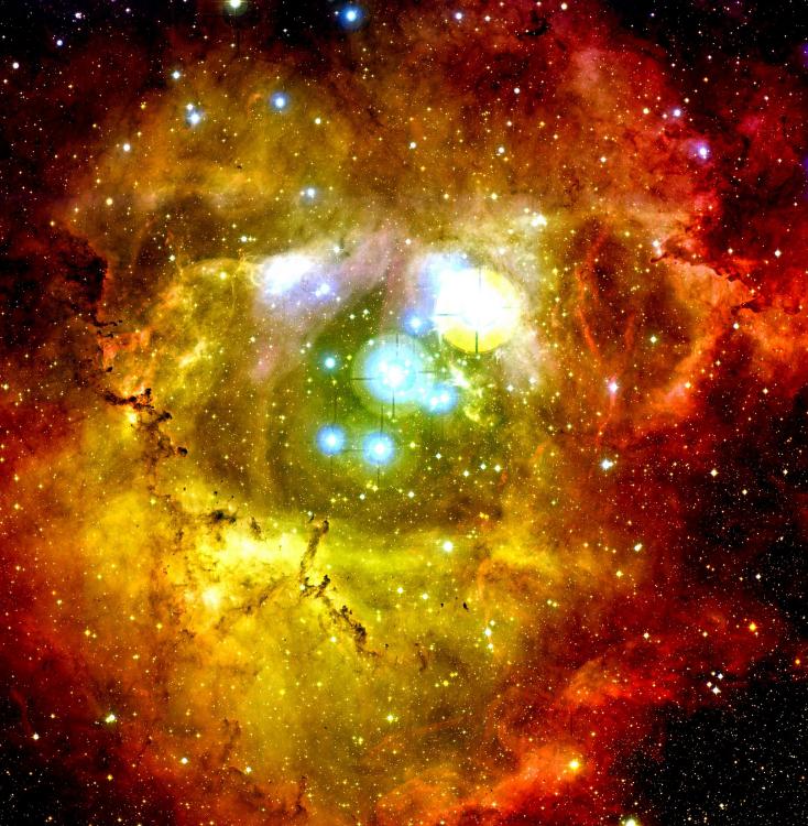.resize_rosette_big.jpg