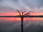 .resize_img_1070.jpg